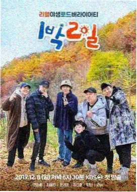 城市漫游者综艺在线观看