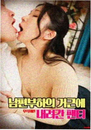 灰域列车电影在线观看